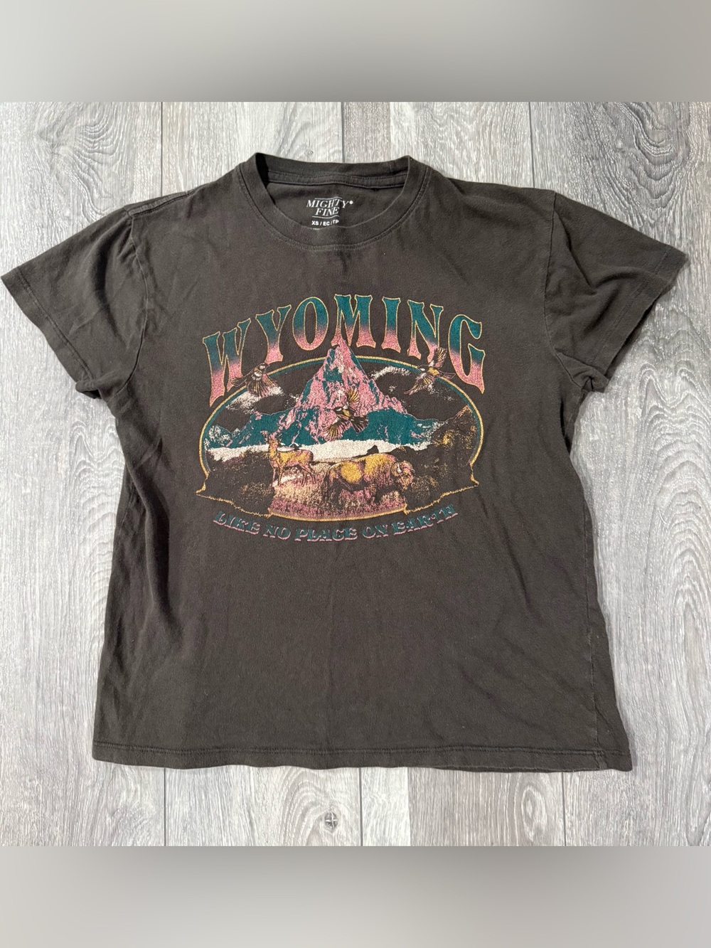 Women’s XS Short Sleeve Gray Mighty Fine Wyoming Like No Place On Earth Shirt